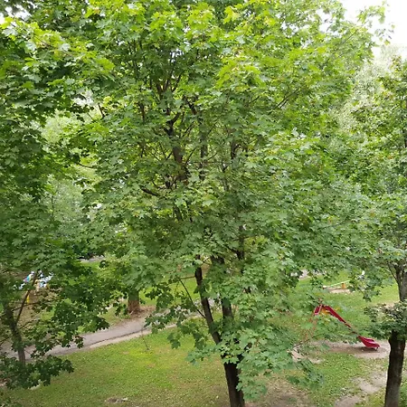 Kvartira 